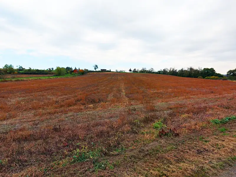 Prodej stavebního pozemku 5369 m², Zruč nad Sázavou – náhled fotky 3