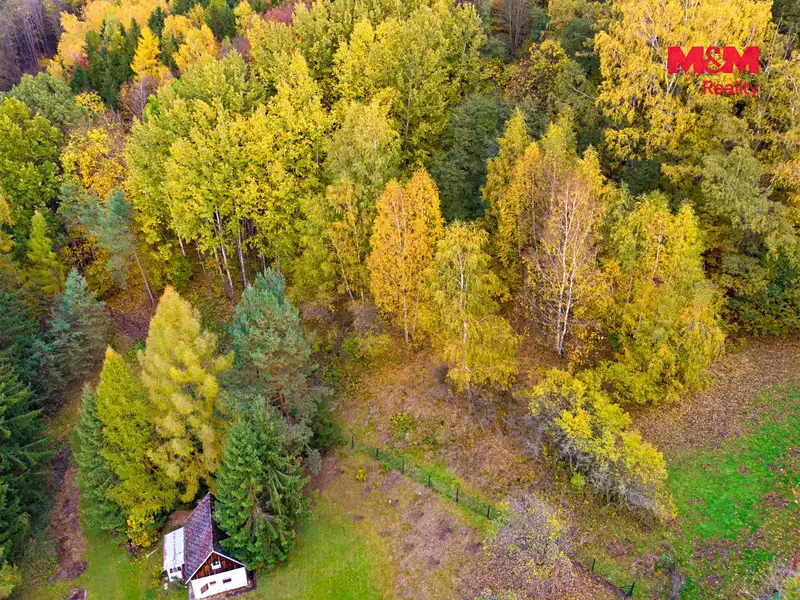 Prodej lesa 3004 m², Skalice u České Lípy – náhled fotky 2