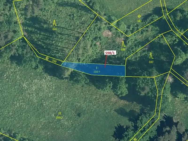 Dražba louky 272 m², Zavlekov – náhled fotky 2