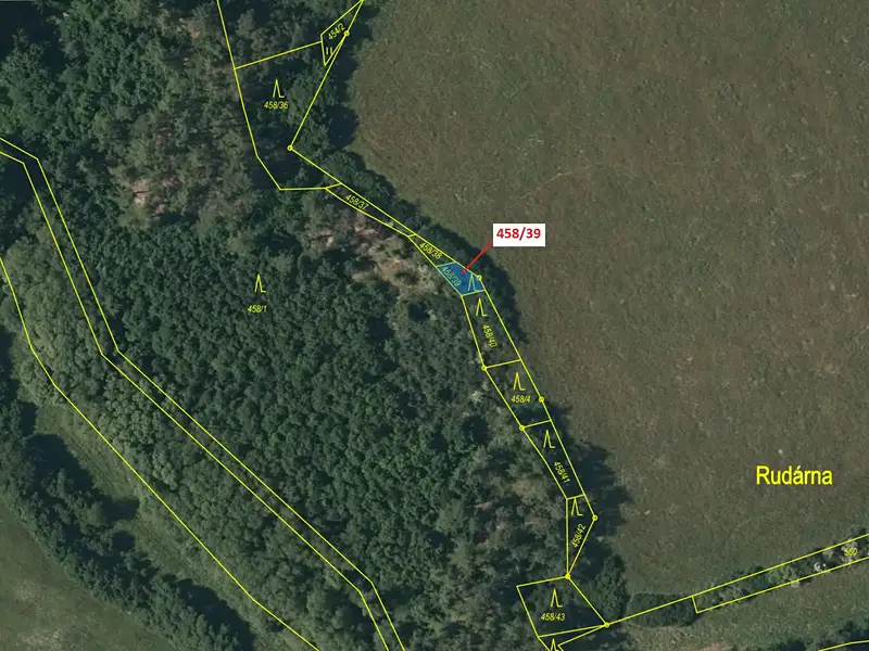 Dražba lesa 50 m², Břežany – náhled fotky 2