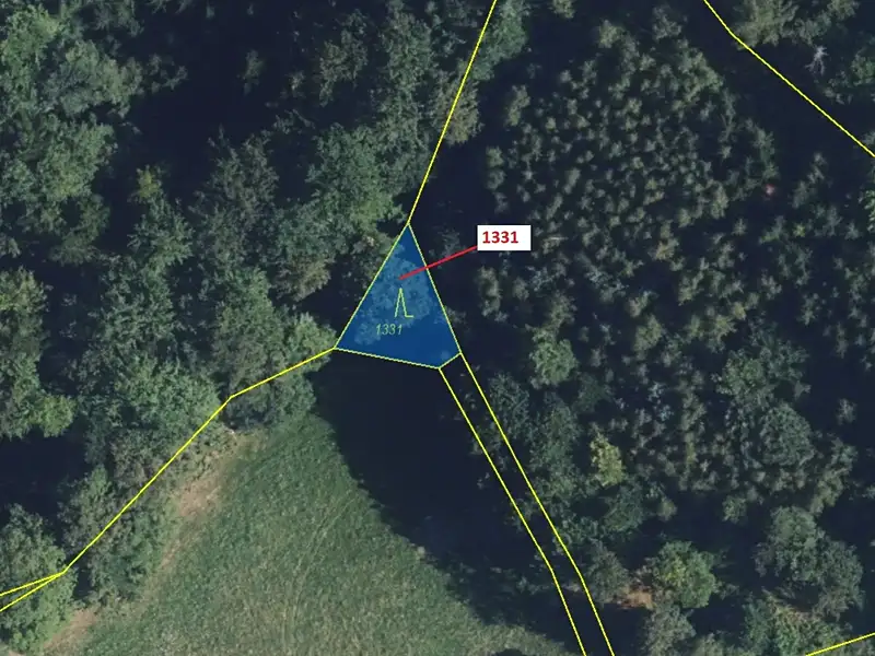 Dražba lesa 183 m², Kladky – náhled fotky 2