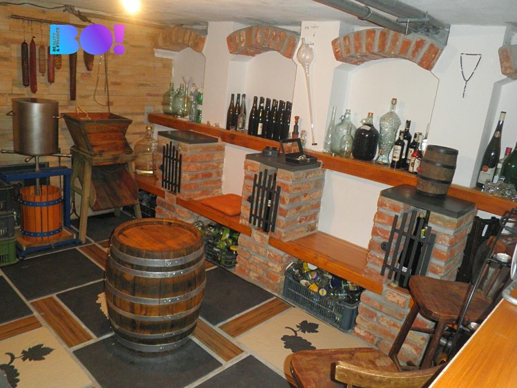 Haus zum Kauf, 270 m² (16 von 16)