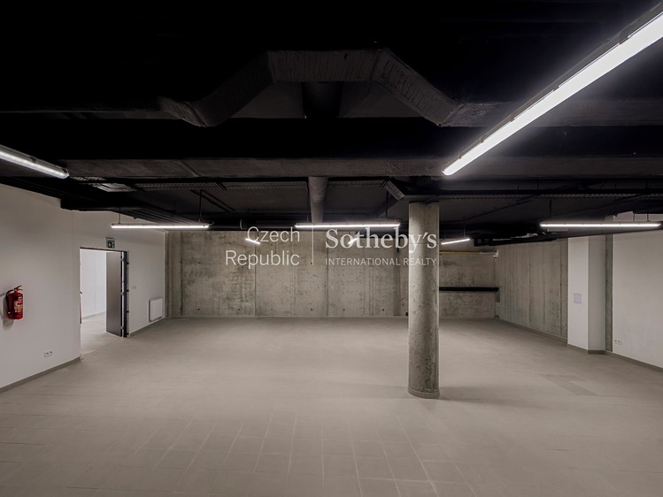 Pronájem komerčního prostoru, 1 500 m² (49 z 61)