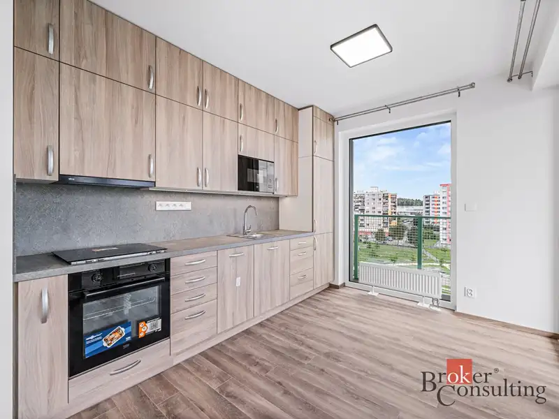 Pronájem bytu 2+kk 47 m², Plzeň – náhled fotky 1