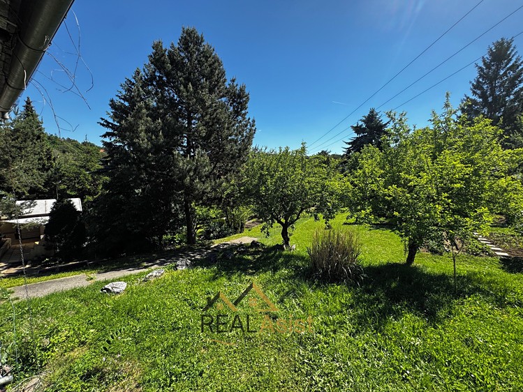 Ostatní