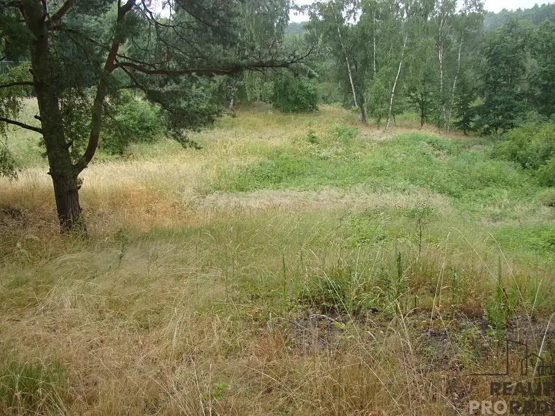 Prodej zahrady 2700 m², Krušovice – náhled fotky 2