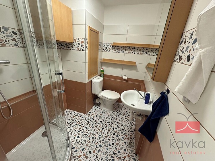 Квартира 1+1 в оренду, 36 м² (3 з 14)
