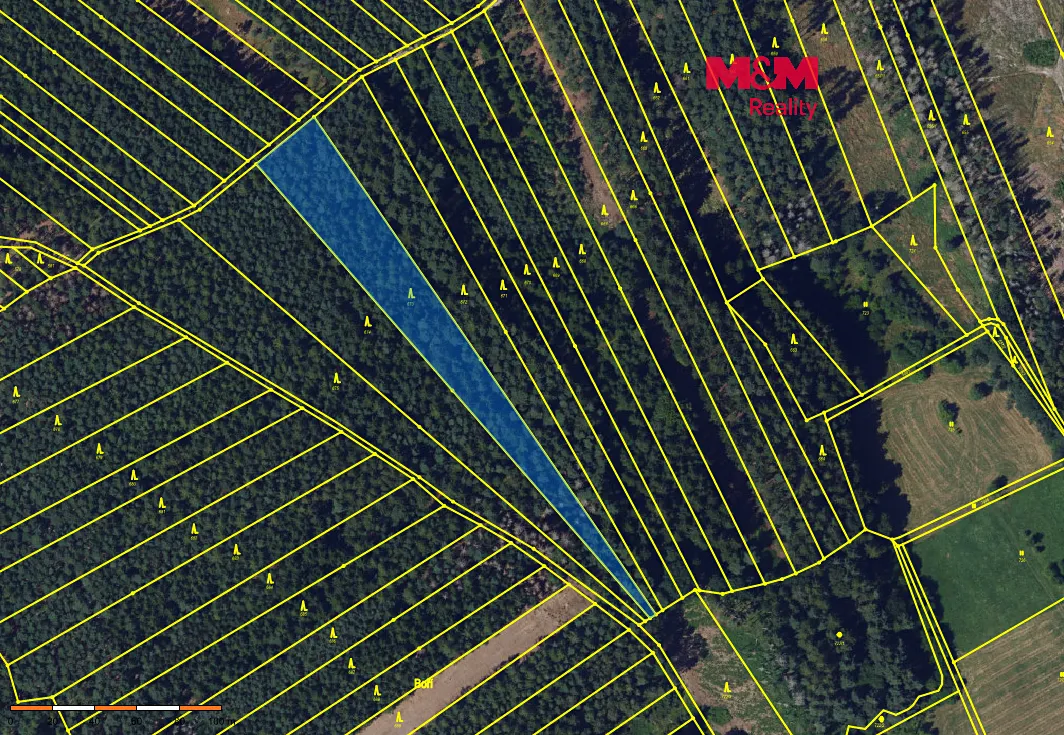 Prodej lesa 5370 m²