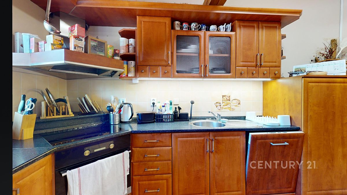 Prodej rodinného domu 294 m², pozemek 3067 m² – fotografie 5