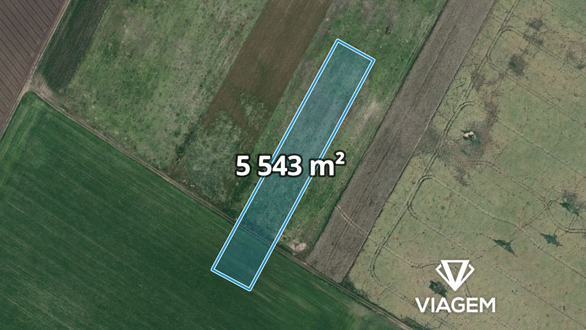 Prodej pole 5543 m², Moravský Žižkov – fotka 1 z 3