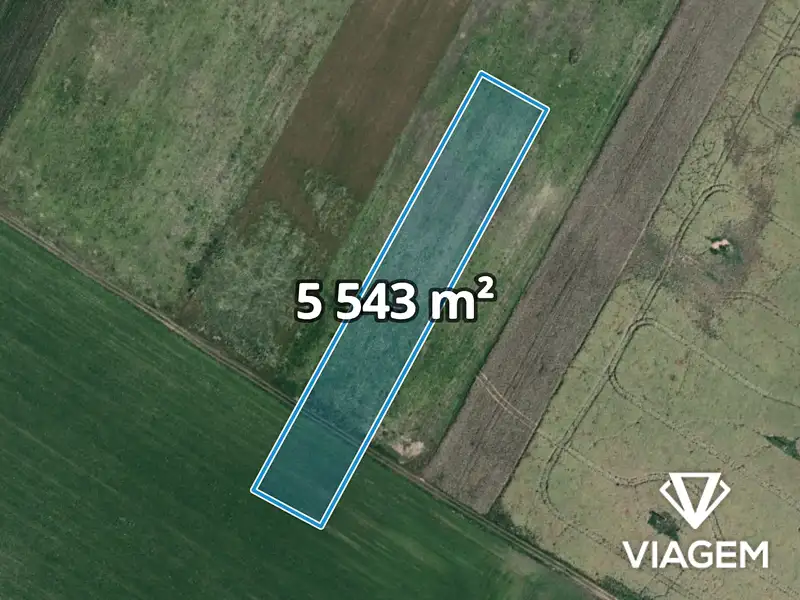 Prodej pole 5543 m², Moravský Žižkov, okres Břeclav