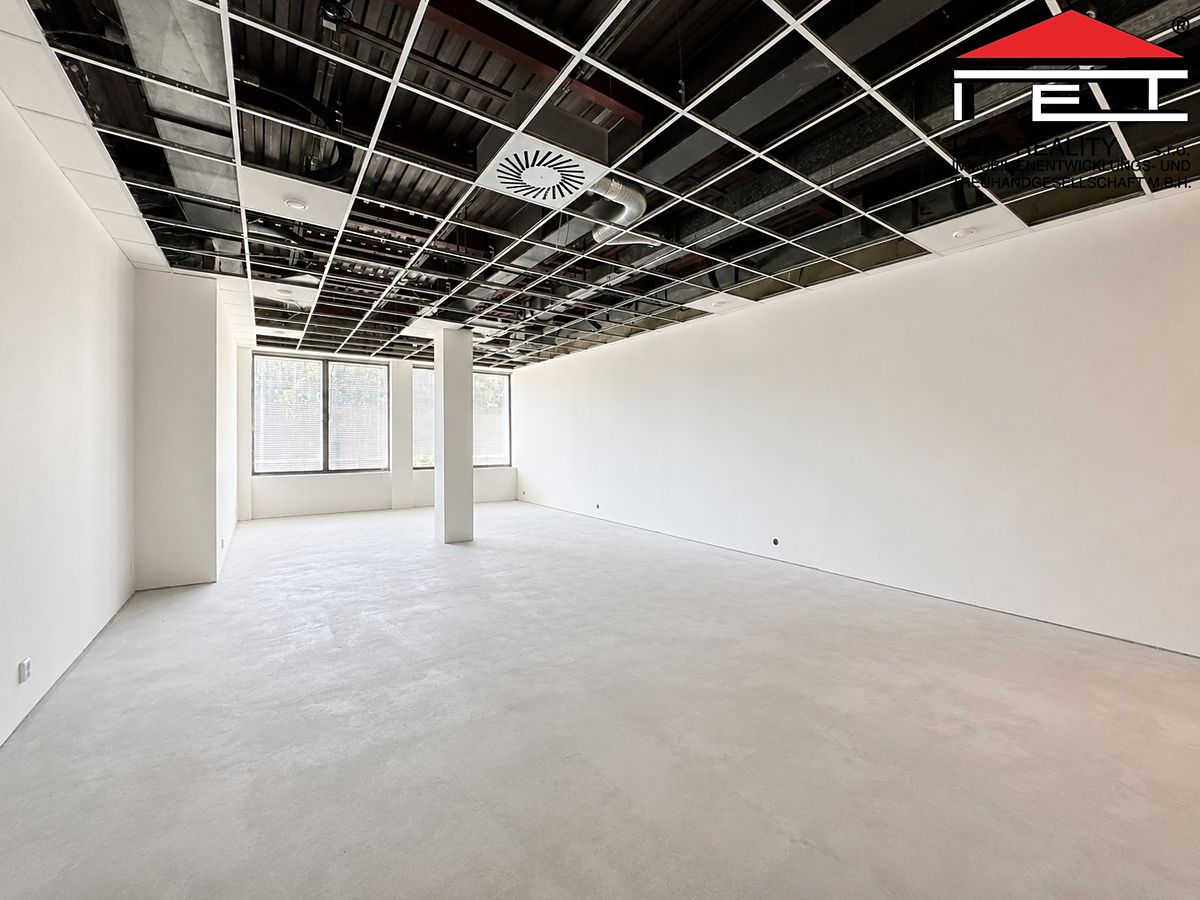 Pronájem kanceláře 65 m², Brno – fotka 1 z 3