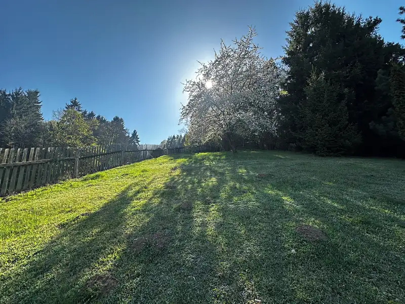 Prodej stavebního pozemku 3706 m², Stříbrná Skalice – náhled fotky 3