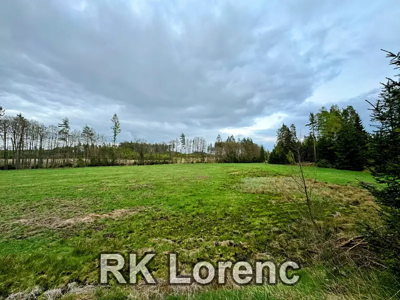Prodej louky 5265 m², Radostín nad Oslavou – náhled fotky 3