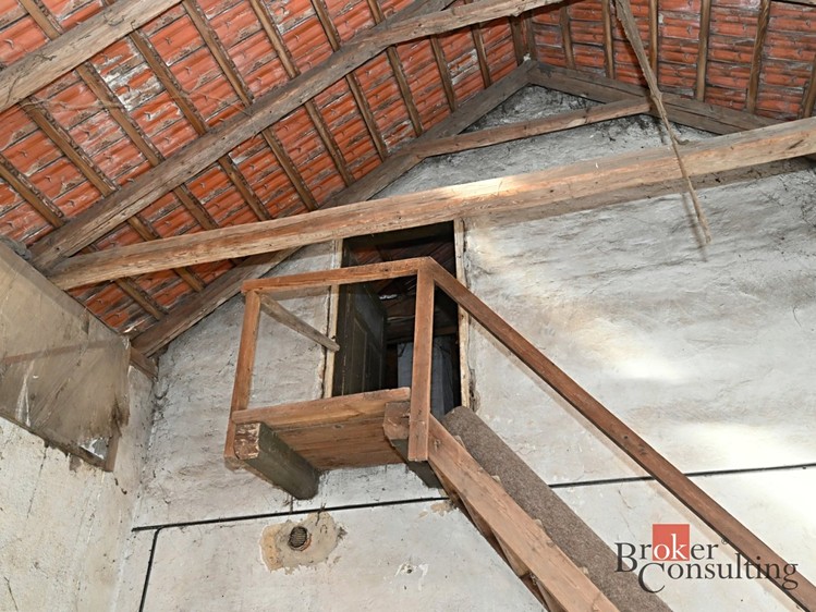 Ostatní