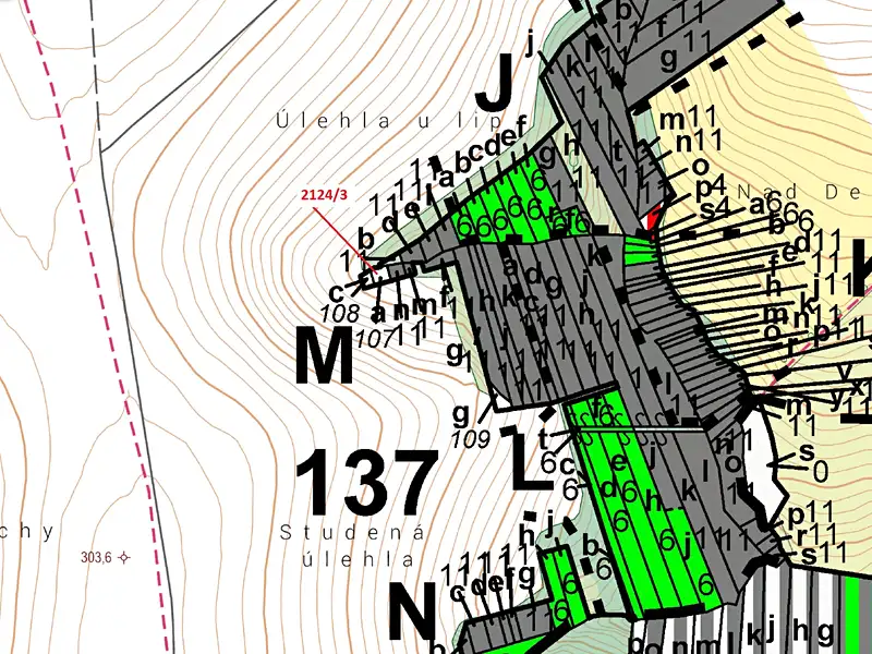 Dražba lesa 140 m², Pavlovice u Přerova – náhled fotky 3