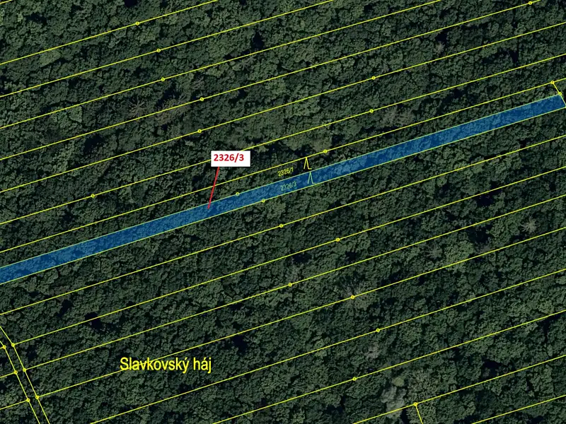 Dražba lesa 1084 m², Slavkov – náhled fotky 2
