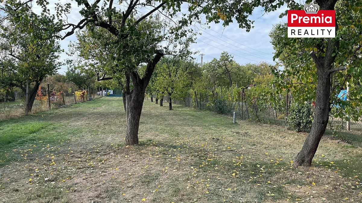 Fotka 8 z 17