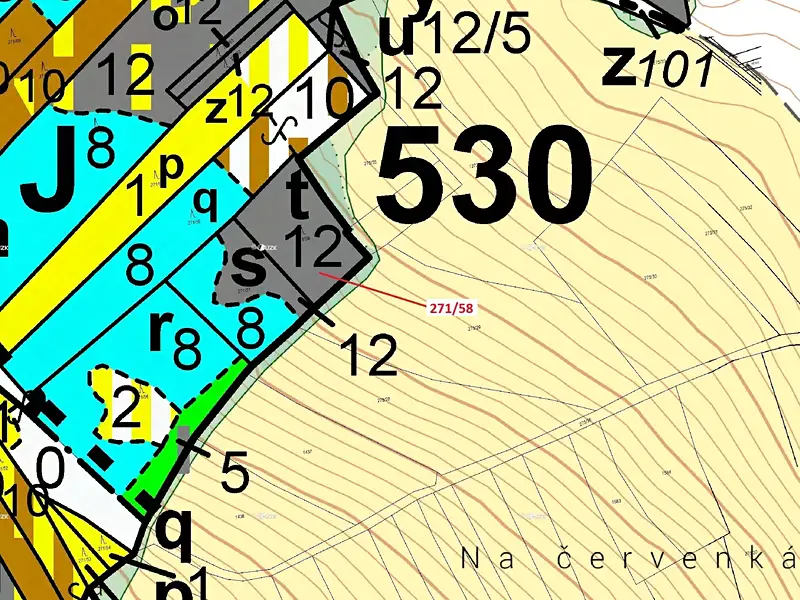 Dražba lesa 2102 m², Milavče – náhled fotky 3