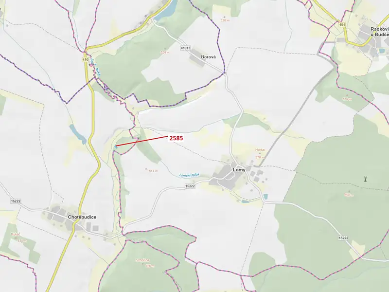 Dražba lesa 774 m², Chotěbudice – náhled fotky 1