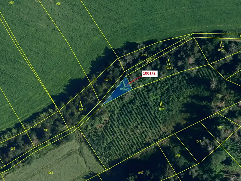 Dražba lesa 150 m², Březí nad Oslavou – náhled fotky 2