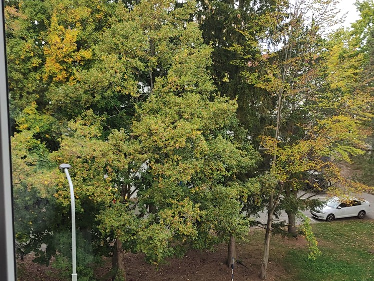 Prodej bytu 2+1, 55 m² (13 z 13)
