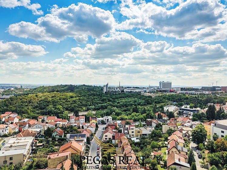 The 4+kk flat for sale, 131 m² (29 of 29)