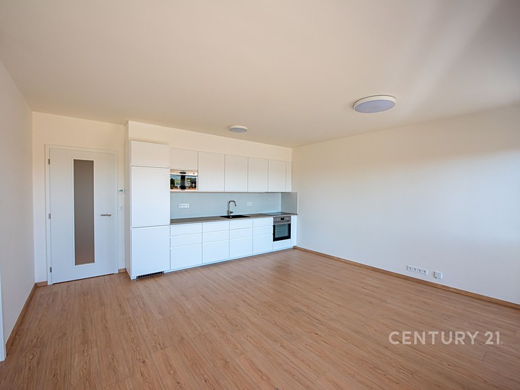 Wohnung 4+kk zur Miete, 84 m² (3 von 18)