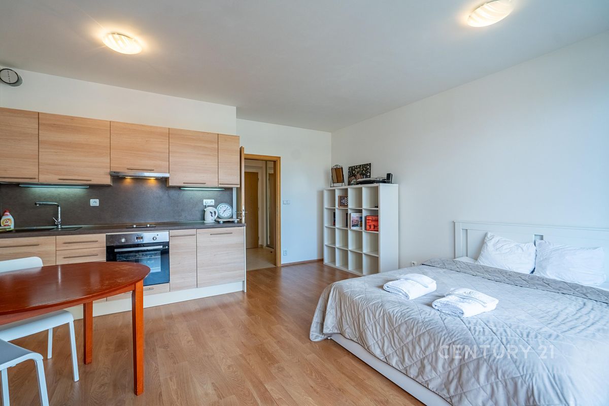 Pronájem bytu 1+kk 40 m² – fotografie 4