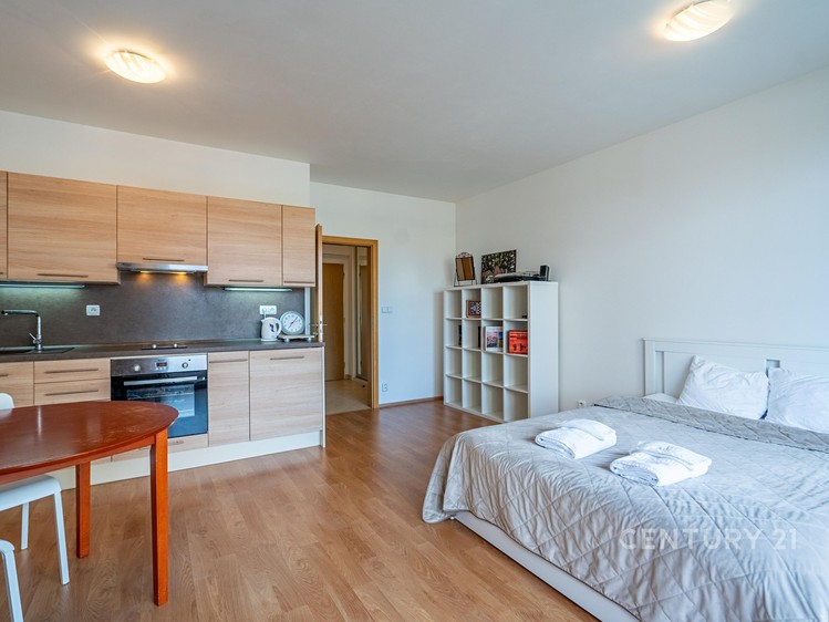 Квартира 1+kk в оренду, 40 м² (4 з 17)