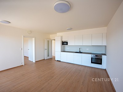 Wohnung 4+kk zur Miete, 84 m² (2 von 18)