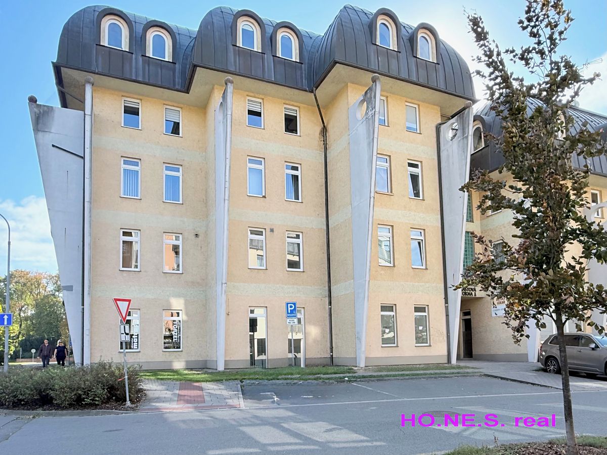 Pronájem bytu 6 pokojů a více 264 m²