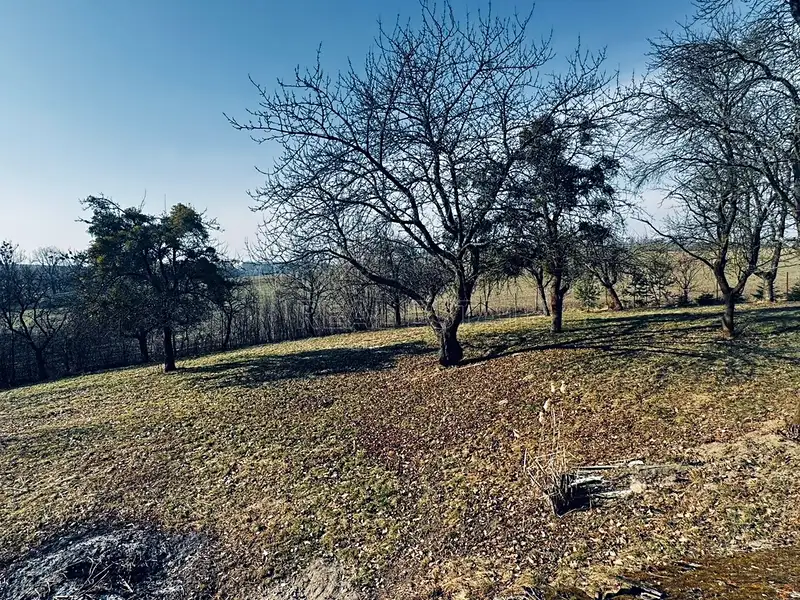 Prodej stavebního pozemku 3362 m², Vítonice – náhled fotky 3