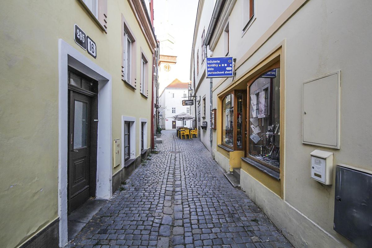 Prodej obchodního prostoru 150 m² – fotografie 4