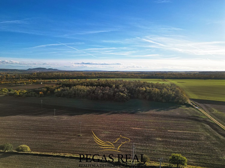 Ostatní