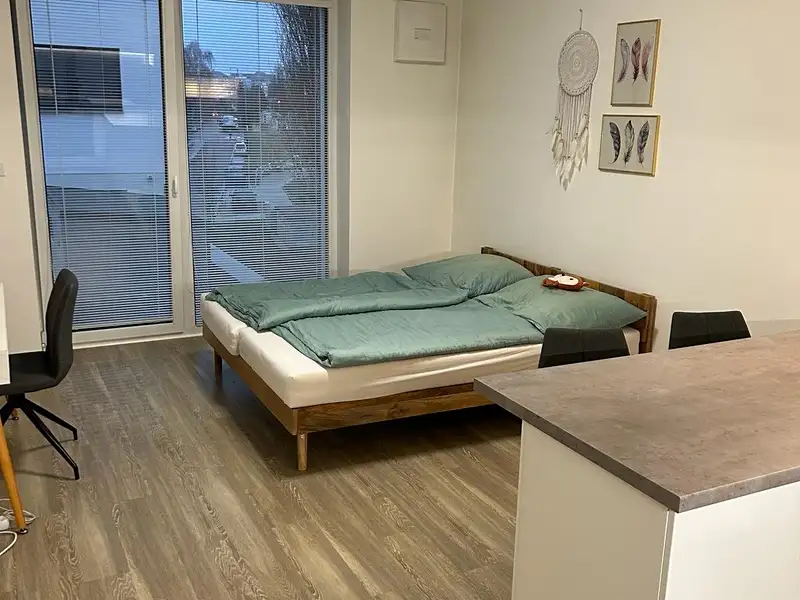 Pronájem bytu 1+kk 34 m², Olomouc – náhled fotky 3