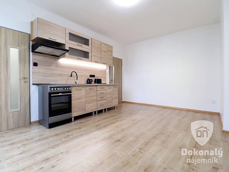 Квартира 1+kk в оренду, 22 м² (1 з 12)