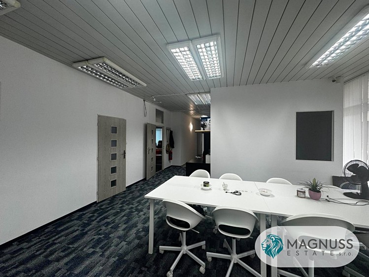 Gewerbefläche zur Miete, 125 m² (4 von 19)