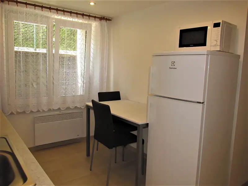 Pronájem bytu 1+1 33 m², Hradec Králové – náhled fotky 3
