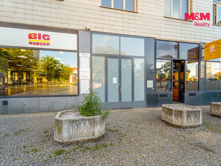 Pronájem bytu 1+1, 34 m² (18 z 22)