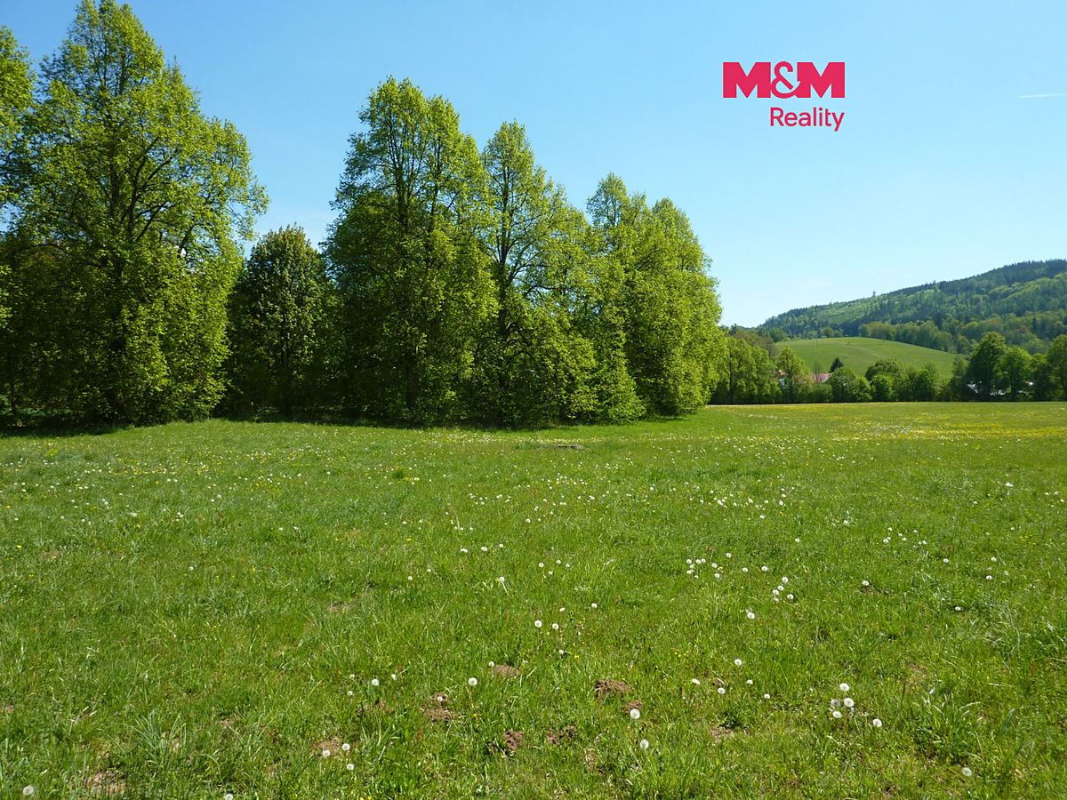 Prodej louky 26090 m², Vysoká Srbská – fotka 1 z 3