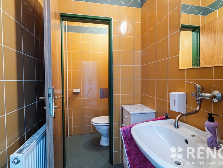 Prodej domu, 265 m² (32 z 39)
