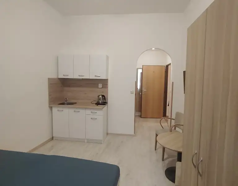 Pronájem bytu 1+kk 23 m², Praha – náhled fotky 2
