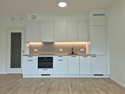 Wohnung 1+kk zum Kauf, 44 m² (3 von 5)