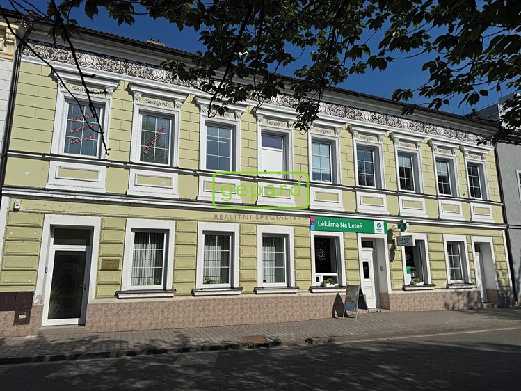 Pronájem komerčního prostoru, 40 m² (2 z 11)