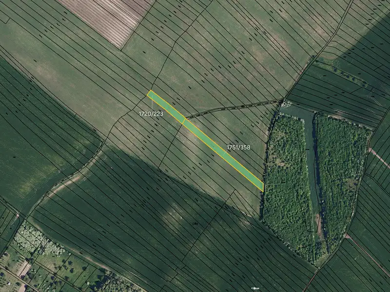 Prodej pole 9152 m², Násedlovice – náhled fotky 2