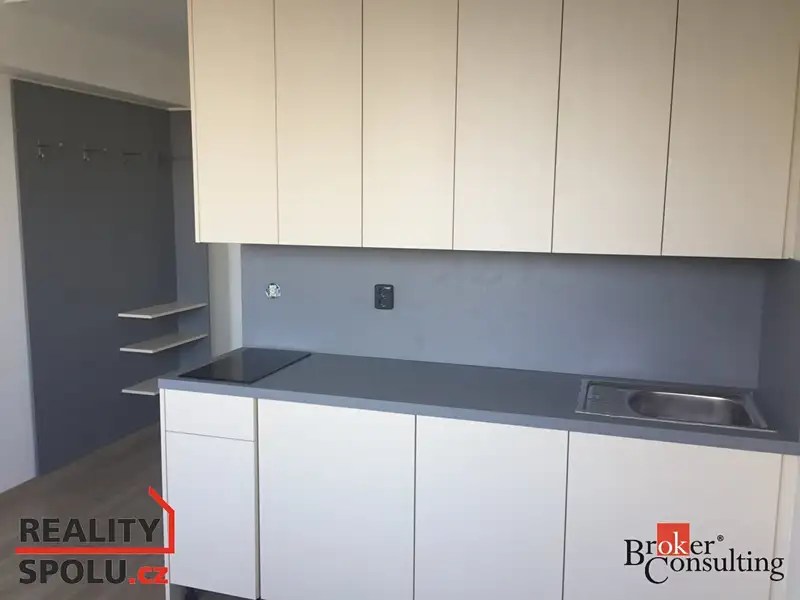 Pronájem bytu 1+kk 19 m², Praha – náhled fotky 3