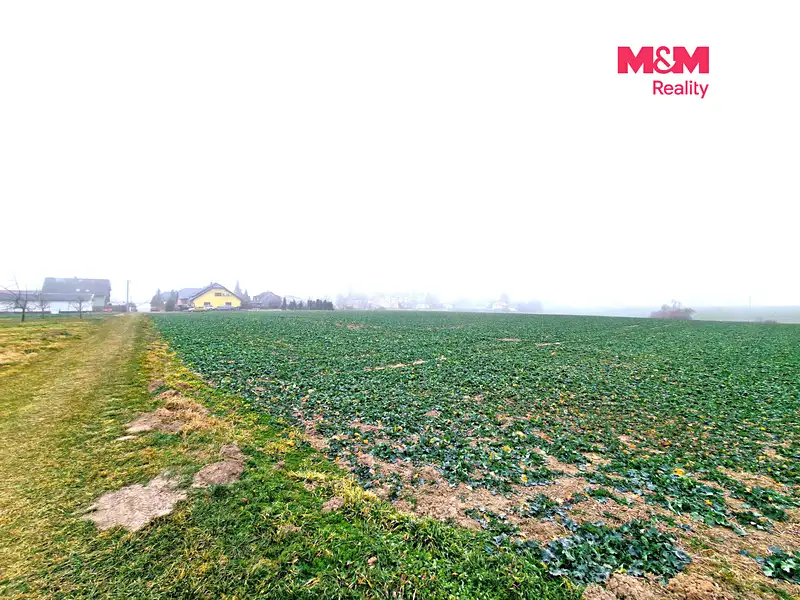 Prodej stavebního pozemku 5343 m², Štěpánkovice – náhled fotky 2