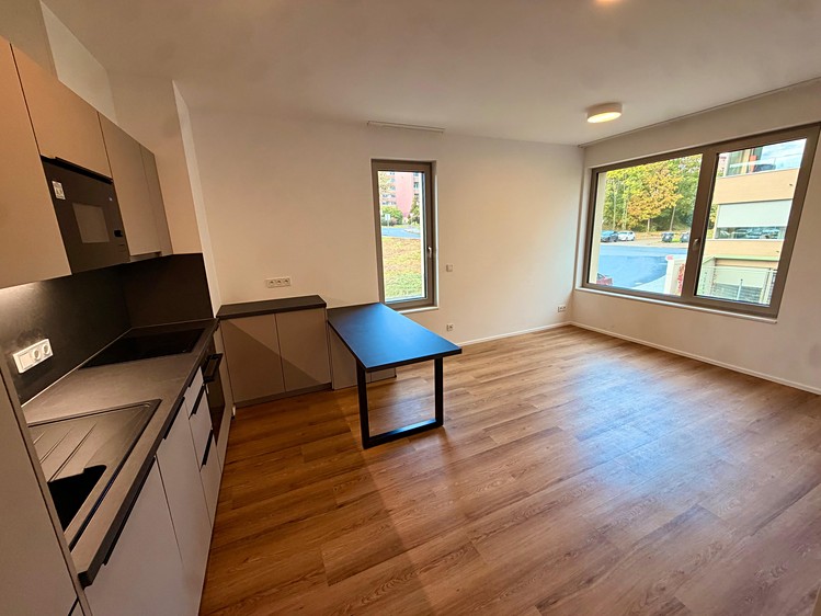Wohnung 1+kk zur Miete, 37 m² (5 von 18)