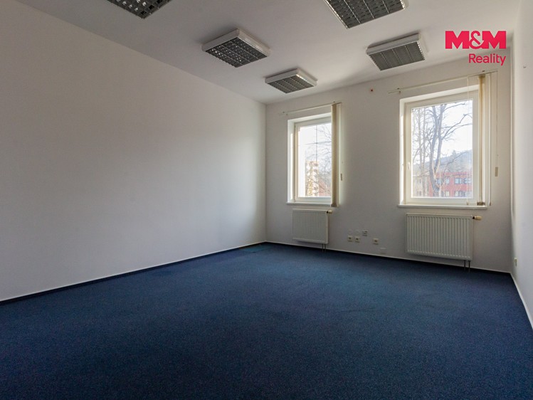 Комерційне приміщення в оренду, 66 м² (4 з 13)